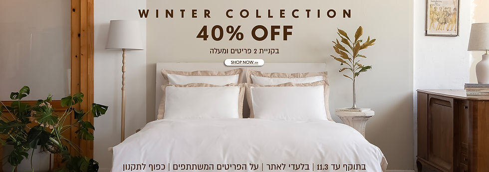 WIX_DESK 40%_בקניית2.jpg